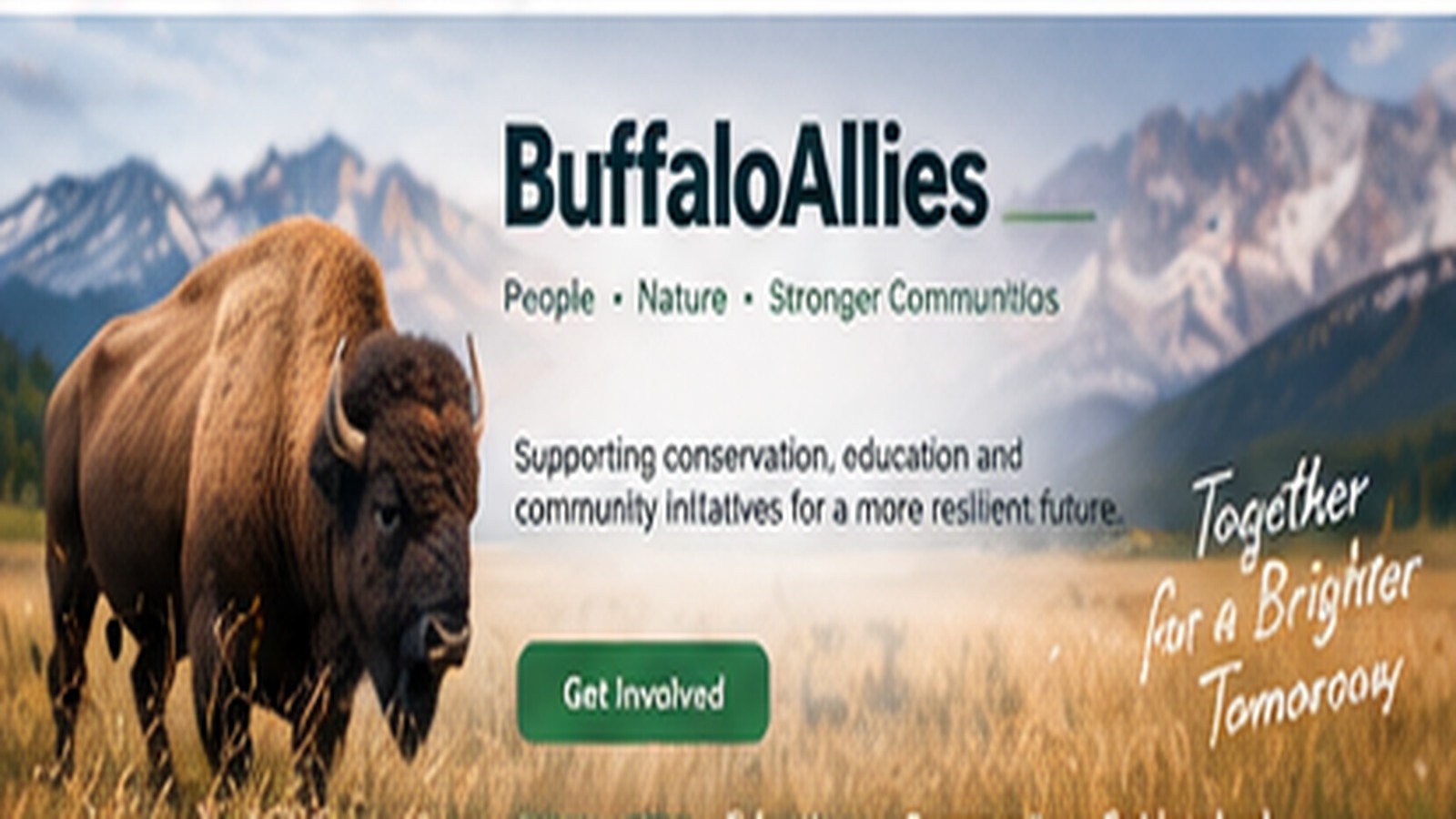 Buffaloallies featured visual